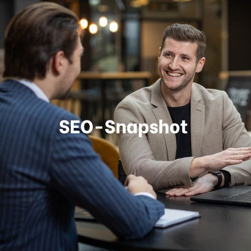 SEO Snapshot - SEO scan voor ZZP’ers